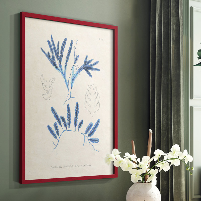 Marine Algae I, reproduction encadrée - bois massif, Rouge, H 10 po x l 8 po