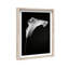 Calla Lily II Print by Oliver Gal-458560763-458562308