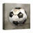 Soccer Ball Print On Canvas; EDE4A8BF0BD9440C987669A780AAEF8A Square-1545466629