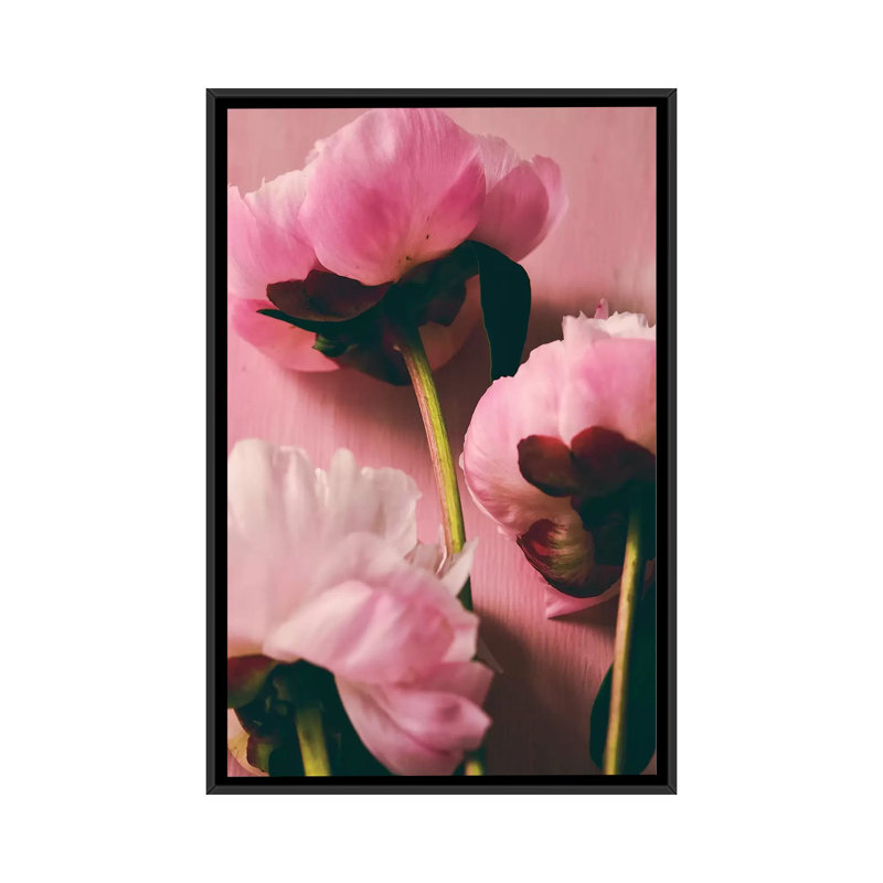 «Pink Peony II», impression sur toile, H 26 po x l 18 po x P 1,5 po, Toile avec cadre noir, Pas de tapis
