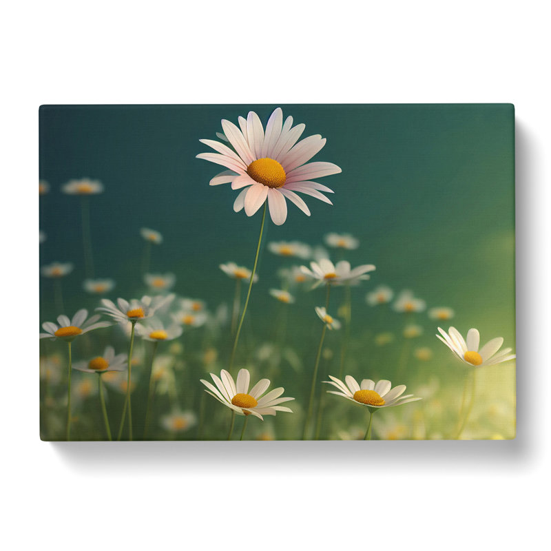 Beauteous Daisy Flowers - Wrapped Canvas, 50cm H x 76cm W x 3cm D