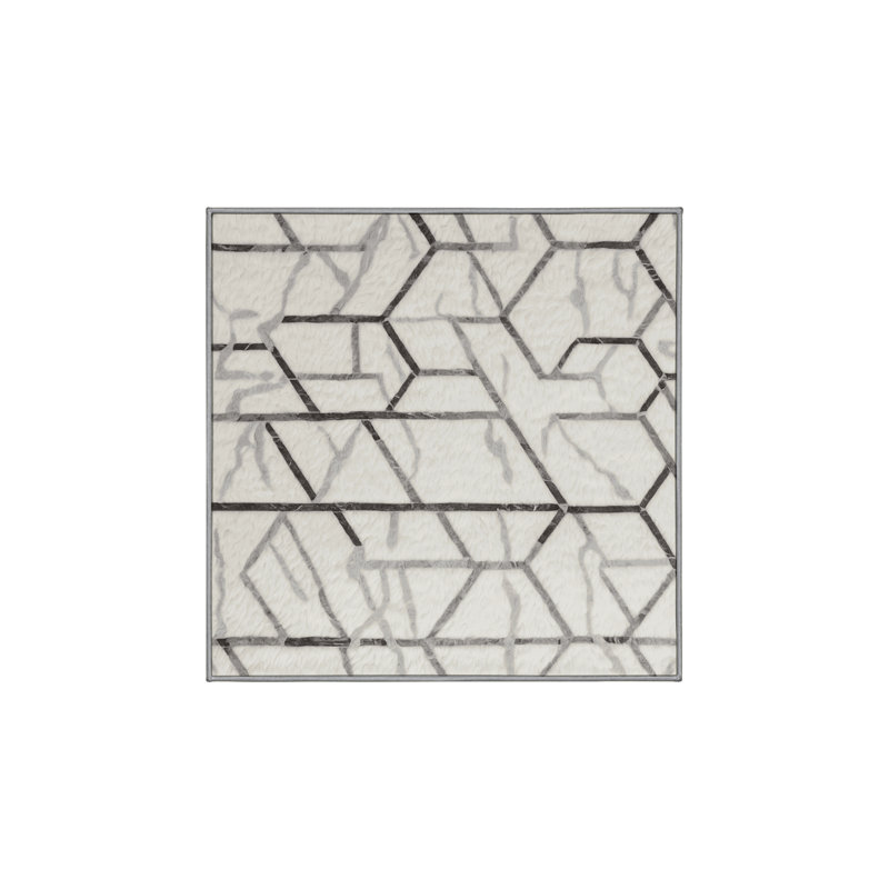 Machine Washable Gray Area Rug, Square 5'