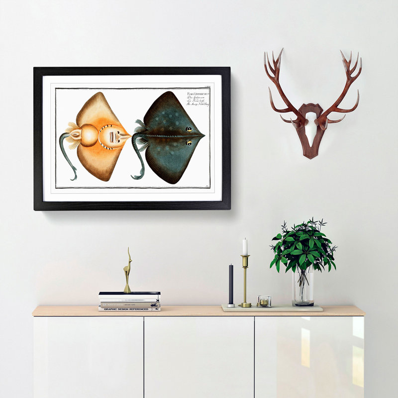 Sharp Nosed-Ray Fish by M.E. Bloch - Picture Frame Painting Print, Black Framed, 48cm H x 65cm W x 2cm D