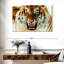 Tigre furieux Brampt