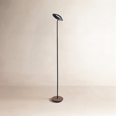 Royyo 45.5 " Floor Lamp