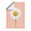 Daisy Study Botanical Framed Art Print-235837219-235837228