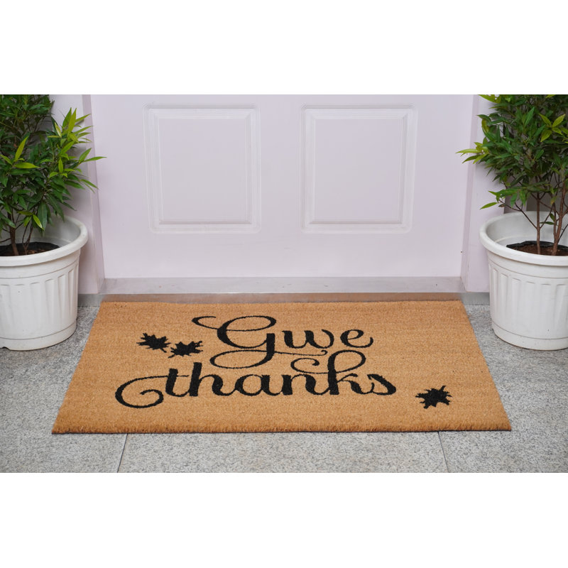 Tapis d'entrée antidérapant Ayvian, L 24 po x L 48 po
