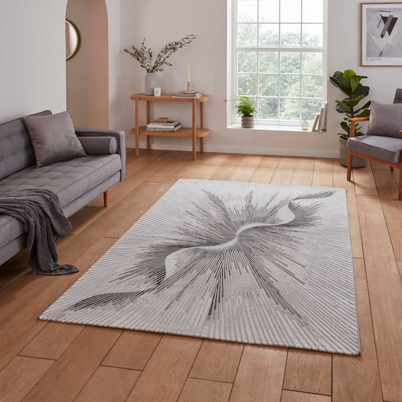 Chandran area rug Machine Woven Rectangle Silver, Rectangle 120cm x 170cm