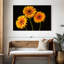 Trois marguerites Harnek sur fond sombre-108136815