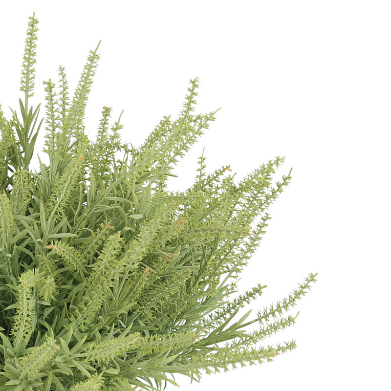 Astilbe Arrangement In A Fiberstone Pot