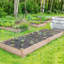 Wooden Raised Garden Bed-851445206-852536875
