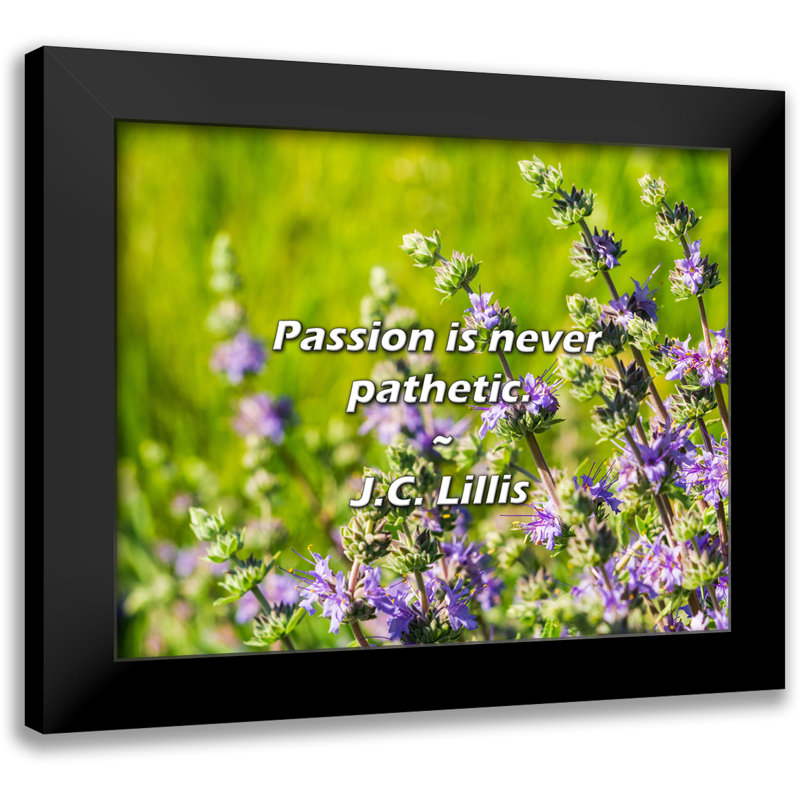 J.C. Lillis Quote: Passion is never pathetic.