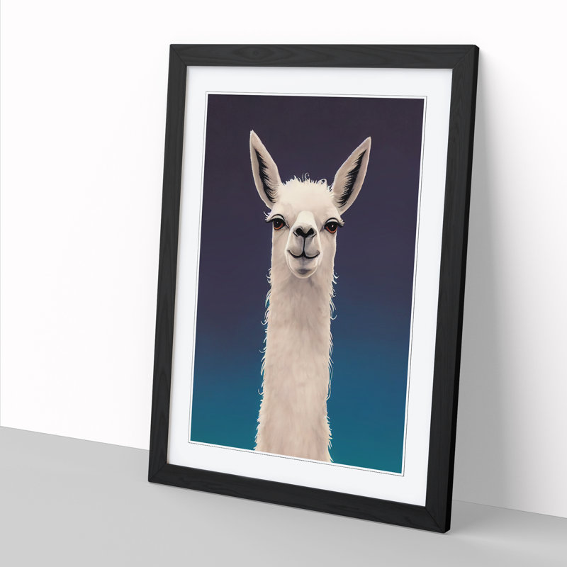 Face Of A Llama Vol.3 - Single Picture Frame Print, Black, 46cm H x 34cm W x 2cm D
