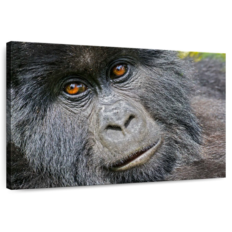 Gorilla Face, 16" H x 24" W