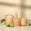 Diffuseurs et bâtons House & Home-1593104532-1593104534