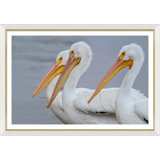 Coastal Birds Giclee Print by Soicher Marin Archives