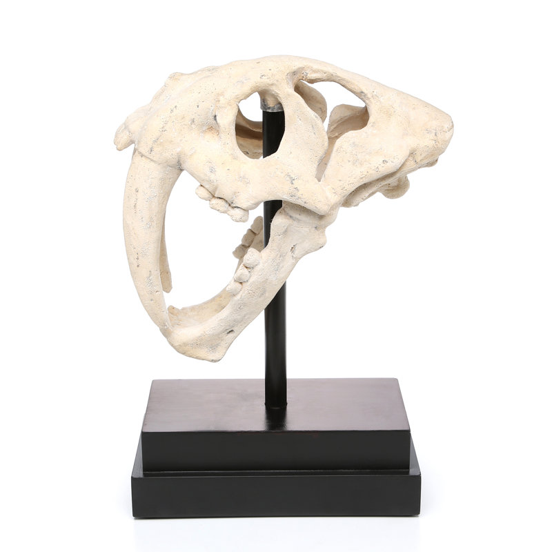 Saber-Toothed Tiger Skull Artifact Figurine