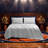 Champion Elastic Logo Microfiber Sheet Set-128579063-131265457