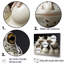 Ensemble de décoration murale Minimalist Frog Essence I - Grenouilles et crapauds-1145416081