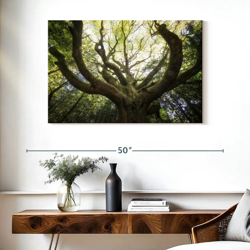 Harnek The Old Octopus Beech, 26" H x 39" W