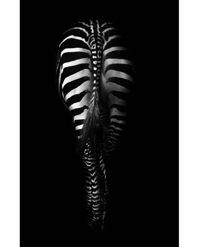Wrapped Canvas Print, 76.2 cm H x 50.8 cm W