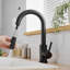 Robinet de cuisine FLG-89657023