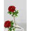 Tige de pivoine Primrue, paquet de 12-2038049745