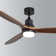 Nicola 60" 3-Blade Black Ceiling Fan With Led Light and Remote Control