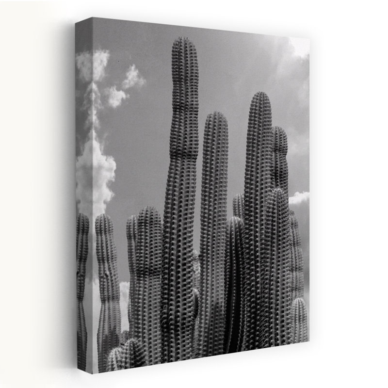 «Where Cacti Thrive - Art contemporain monochrome de plante de désert de cactus, H 24 po x l 16 po