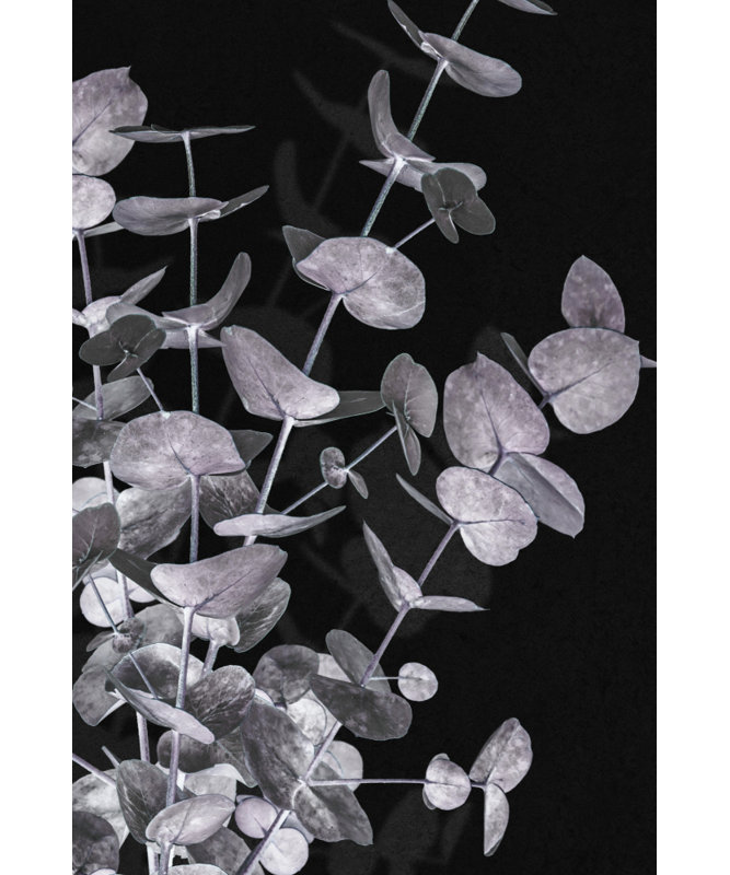 Wrapped Canvas Print, 50.8 cm H x 76.2 cm W