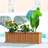 Barros Solid Cedar Rectangular Planter Box with Drainage Holes-2088857659-2102627043