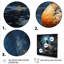 «Blue Duck Midnight Ponder III», art mural animal canard-864472532-864472536