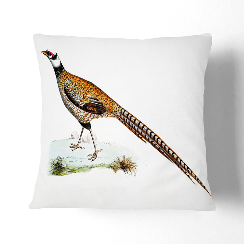 Square Throw Cushion, Black, 55cm H x 55cm W x 20cm D