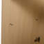 Meuble-lavabo sur pied 36 po avec lavabo en résine et 2 portes d'armoire à fermeture en douceur, contreplaqué (KD-PACKING)-816124114