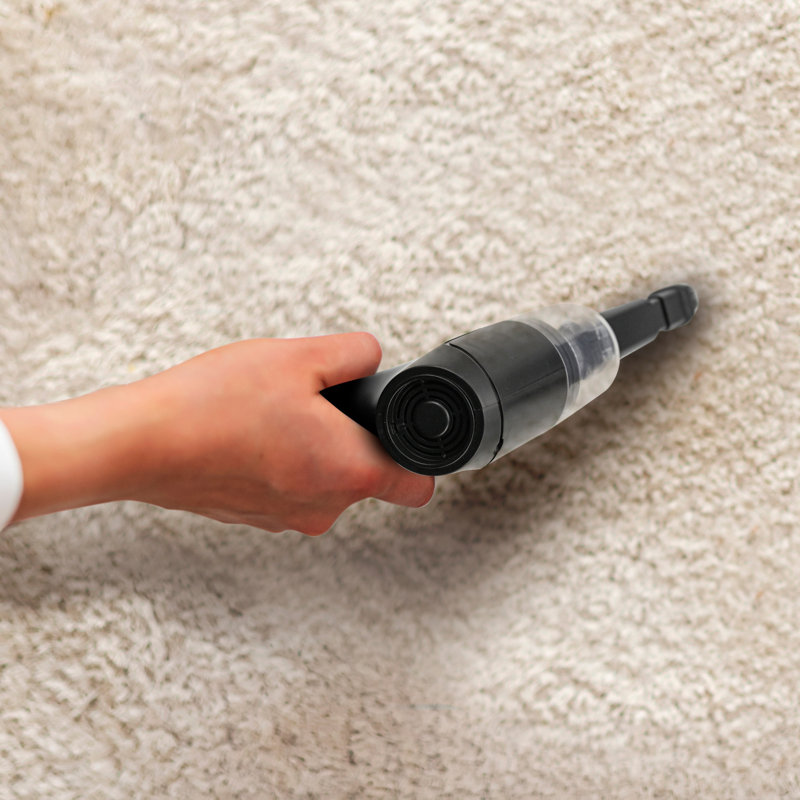 Aspirateur sans fil avec succion hypervélocité et gomme pour animaux