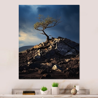 " Volcano Volcanic Emission I "