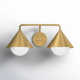 Ireland 2 Light Glass Steel Dimmable Armed Sconce