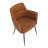 Cedeno 19.5'' H Upholstered Armchair-1593029274