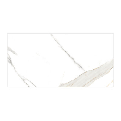 Kaia 12-in. x 24-in. Stone Look Matte Porcelain Wall & Floor Tile