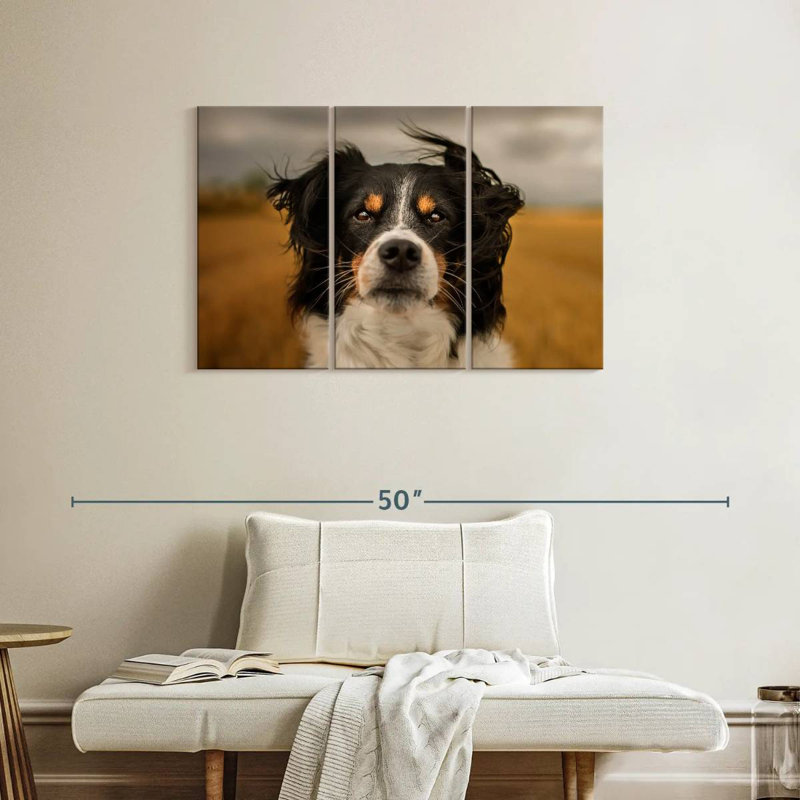 Brampt Expressive Border Collie, 24" H x 38" W