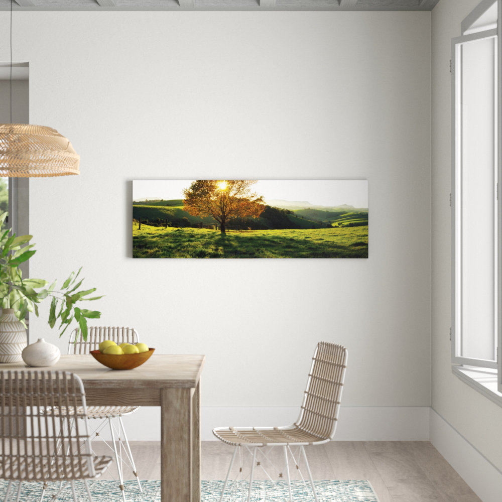 Green and Gold by Andrew Brown Photographic Print Wrapped on Canvas in Green