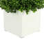 Buis artificiel en pot 3 po Roanoke