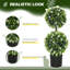 70cm Plant
