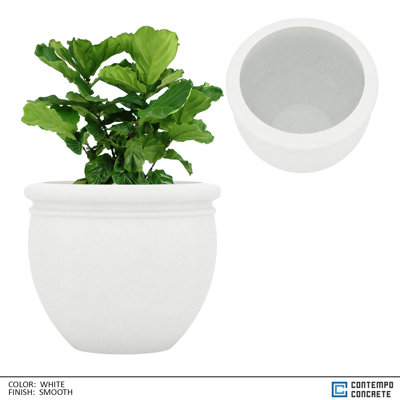 Dora Planter