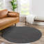 Radika Area Rug-1971727722-1971727772