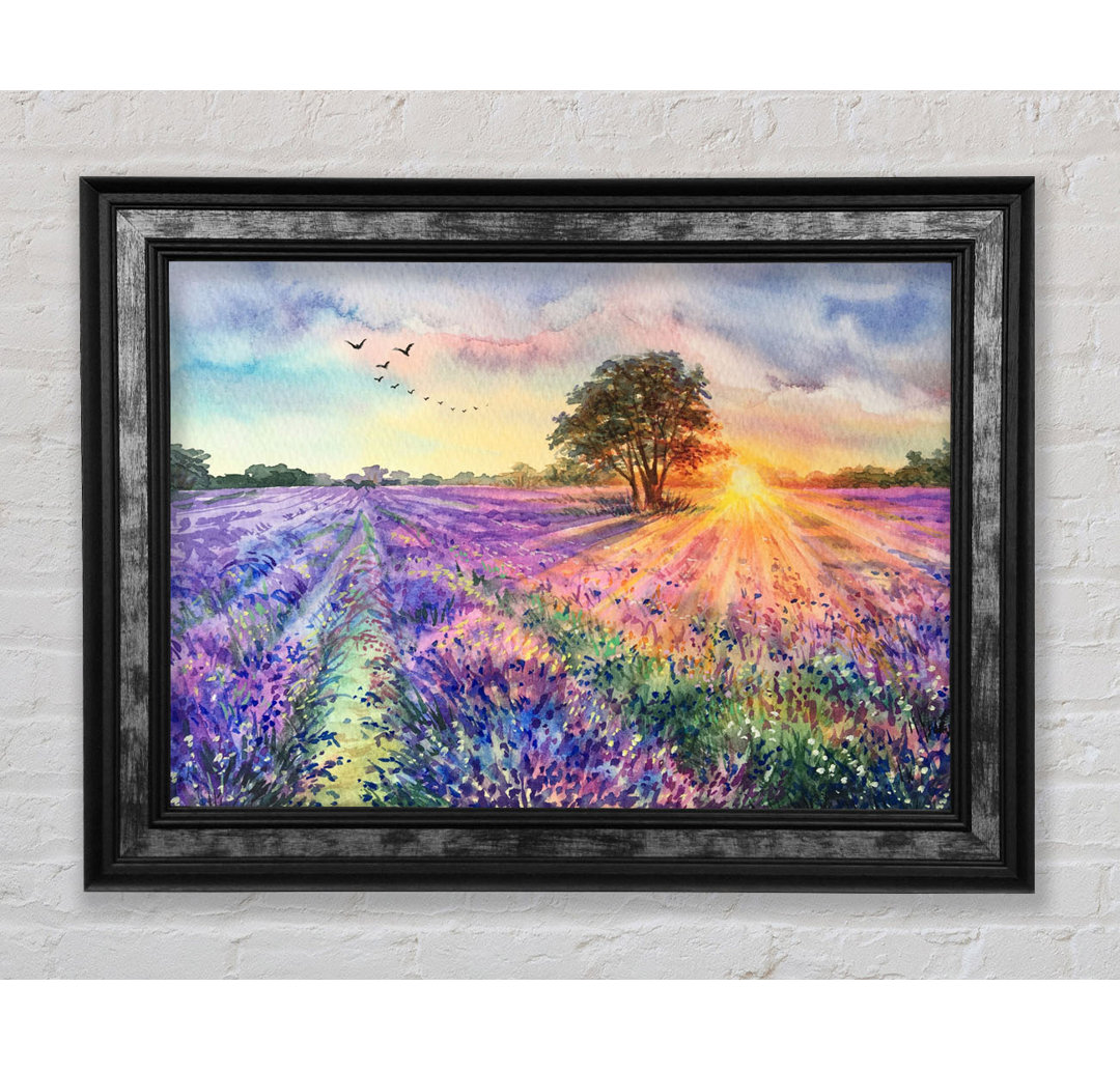 Gerahmtes Leinwandbild Lilac Fields Sunset