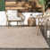 Owensby Braided Tan Indoor/Outdoor Rug