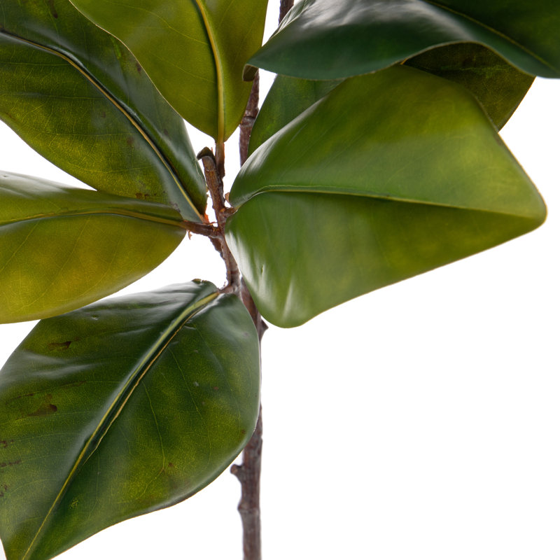 Polyethylene (PE) Magnolia Arrangement