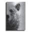 «Bear At Attention» par Brandon Wong, art mural-733145109