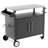 Two Doors Outdoor Grill Cart With Patio Furniture, Outdoor Grill Table With Storage,Rolling Bar Cart Outdoor BBQ Cart With  Hooks And Spice Rack For Grilling Accessories, Black